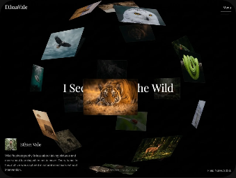 Hình xem trước Nature Portfolio